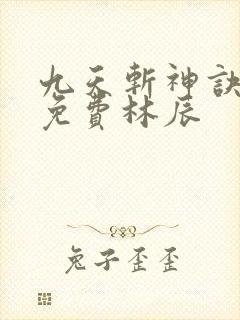 九天斩神诀小说免费林辰