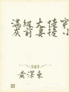 满级大佬穿成炮灰前妻后 小说封面