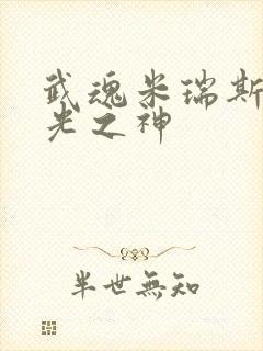 武魂米瑞斯我为光之神