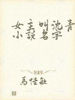 女主叫沈青禾的小说名字