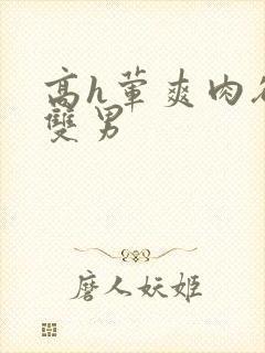 高h荤爽肉欲文双男