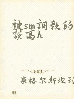 被sm调教的小说高h