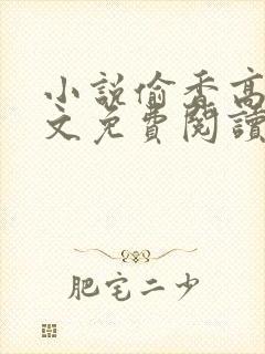 小说偷香高手全文免费阅读