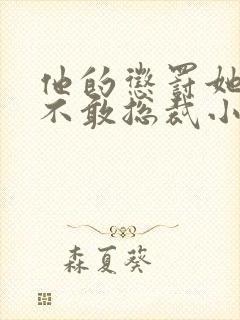 他的惩罚她再也不敢总裁小说