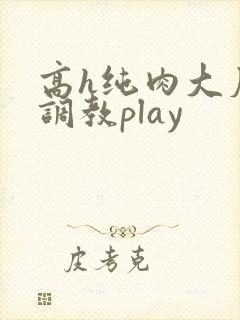 高h纯肉大尺度调教play封面