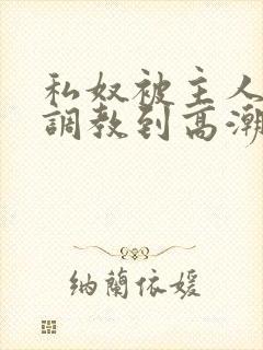 私奴被主人玩弄调教到高潮小说封面