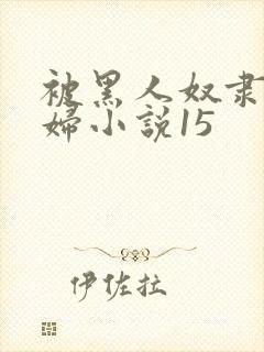 被黑人奴隶的少妇小说15封面