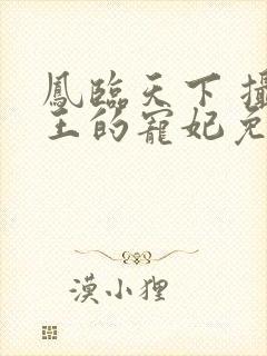 凤临天下 摄政王的宠妃免费阅读