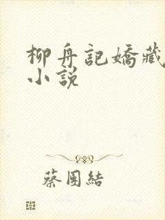 柳舟记娇藏原著小说