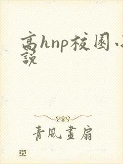 高hnp校园小说