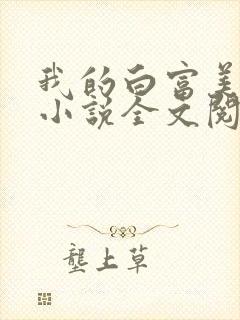 我的白富美老婆小说全文阅读免费