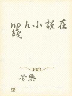 np h小说在线