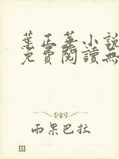 叶正华小说全文免费阅读无弹窗