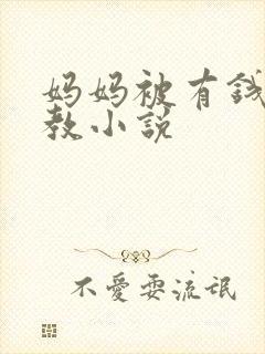 妈妈被有钱人调教小说封面