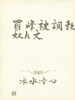 罗峰被调教成肉奴h文