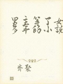 男主等了女主很多年的小说封面