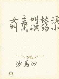 女主叫林溪男主叫周屿的小说封面