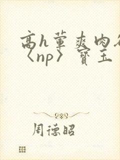 高h荤爽肉欲文〈np〉宝玉