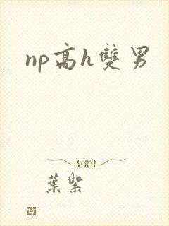 np高h双男