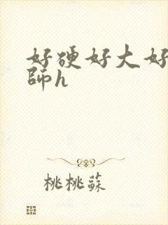 好硬好大好爽老师h