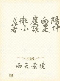 《微尘向阳》原著小说是什么?