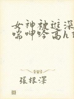 女神被进深处娇喘呻吟高h视频
