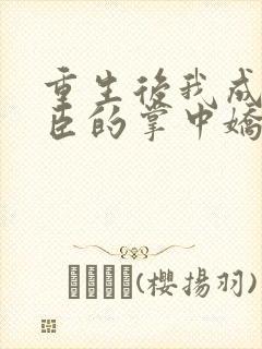 重生后我成了权臣的掌中娇无弹窗