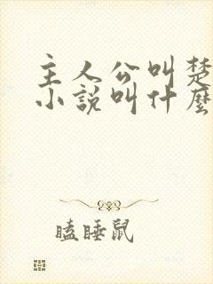 主人公叫楚尘的小说叫什么名字