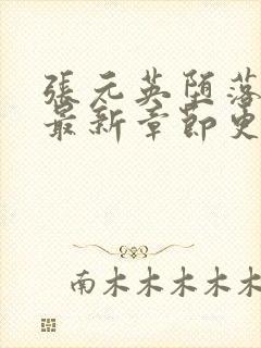 张元英堕落小说最新章节更新时间与