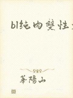 bl纯肉双性文封面