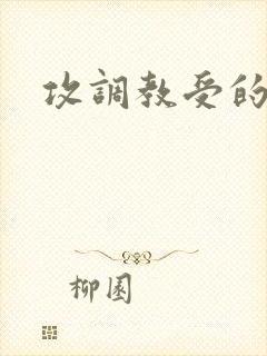 攻调教受的文