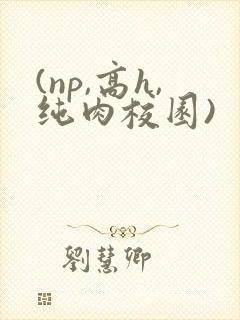 (np,高h,纯肉校园)