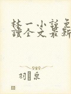 林一小说免费阅读全文最新章节