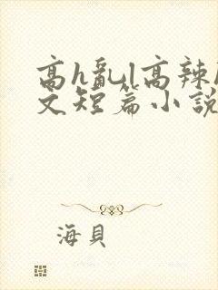 高h乱l高辣h文短篇小说男男