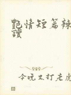 艳情短篇辣文阅读