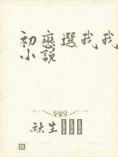 初恋选我我超甜小说