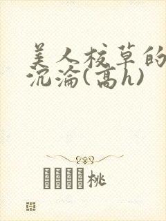 美人校草的堕落沉沦(高h)
