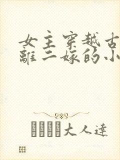 女主穿越古代和离二嫁的小说