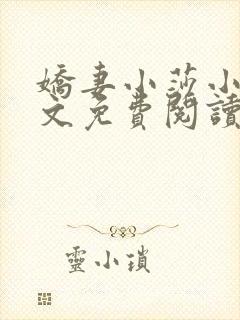 娇妻小莎小说全文免费阅读