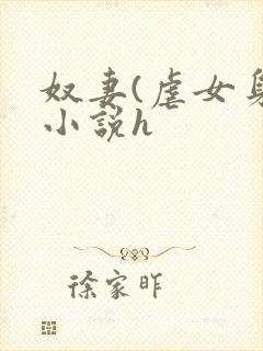 奴妻(虐女身)小说h