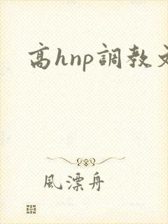 高hnp调教文封面
