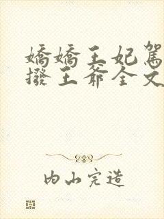 娇娇王妃驾到撩拨王爷全文免费阅读封面