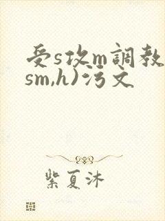 受s攻m调教(sm,h)污文