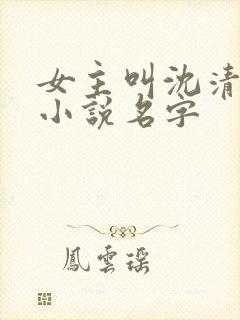 女主叫沈清禾的小说名字