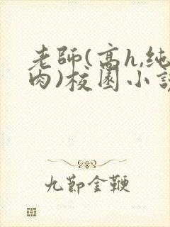 老师(高h,纯肉)校园小说