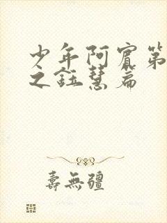 少年阿宾第二部之钰慧篇封面