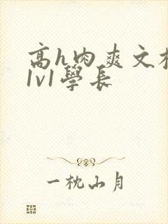 高h肉爽文校园1v1学长