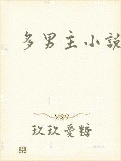 多男主小说h封面