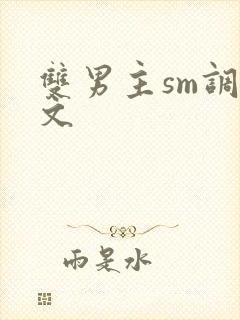 双男主sm调教文