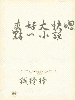 爽好大快嗯～轻点～小说